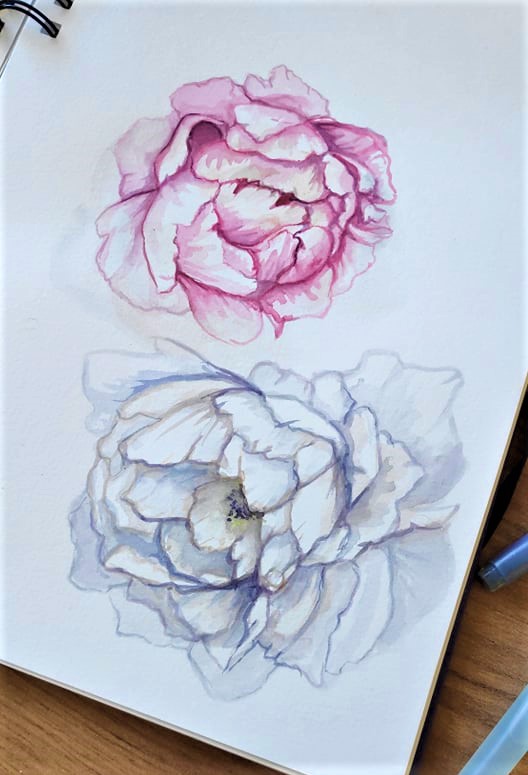 Helg Pojengid paberil